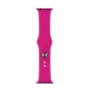 Ремешок Silicone Apple Watch 38/40/41 mm Dragon Fruit S