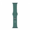 Ремінець Silicone Apple Watch 38/40/41/42 мм Pine Green L (55) (57)