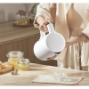 Электрочайник Xiaomi Mi Home Appliance Water Bottle N1 (MJDSH05YM)